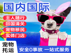 黄山屯溪航空邮寄国际宠物托运 【国